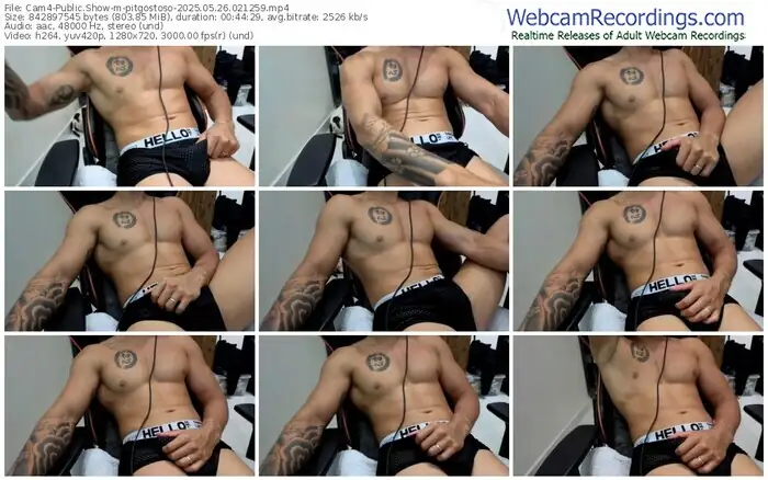 2025/05/26/cam4-pitgostoso-02-12-59