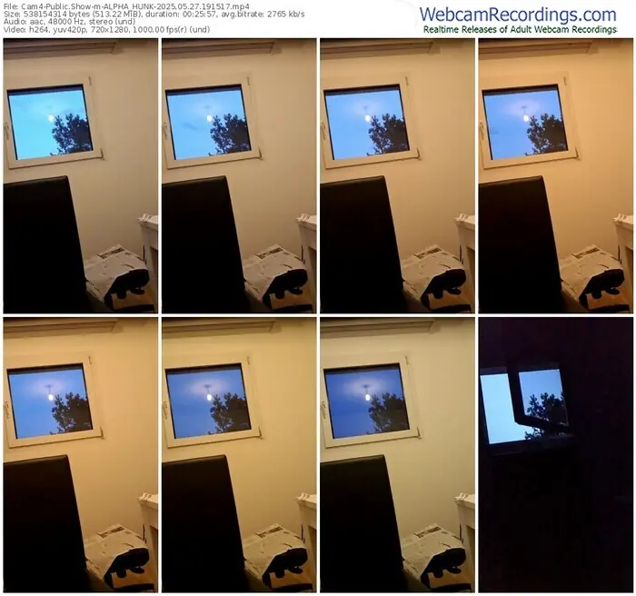 2025/05/27/cam4-alpha_hunk-19-15-17