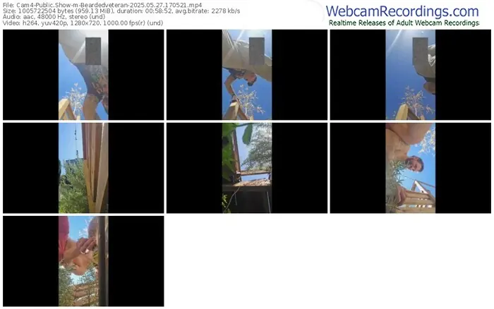 2025/05/27/cam4-beardedveteran-17-05-21