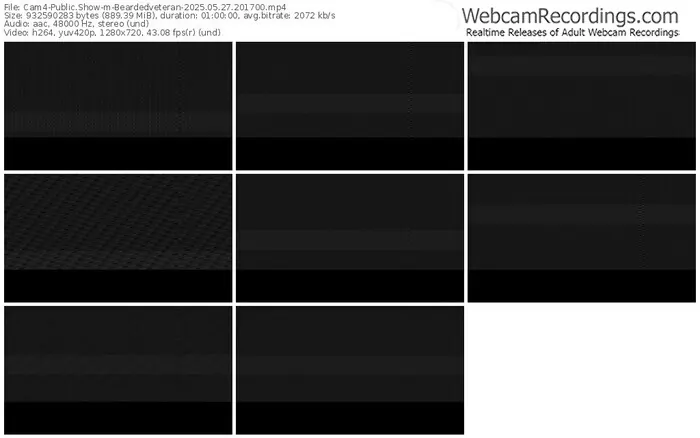 2025/05/27/cam4-beardedveteran-20-17-00