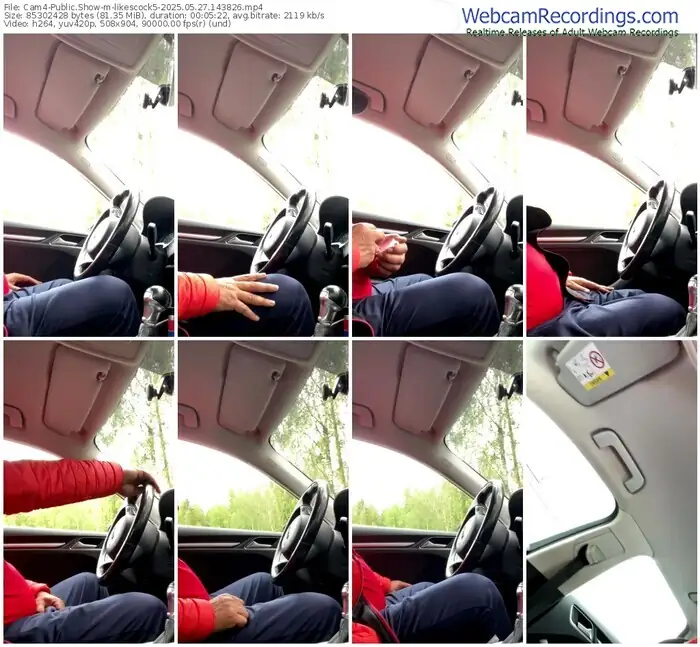 2025/05/27/cam4-likescock5-14-38-26