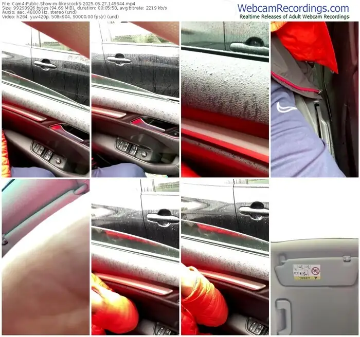 2025/05/27/cam4-likescock5-14-56-44