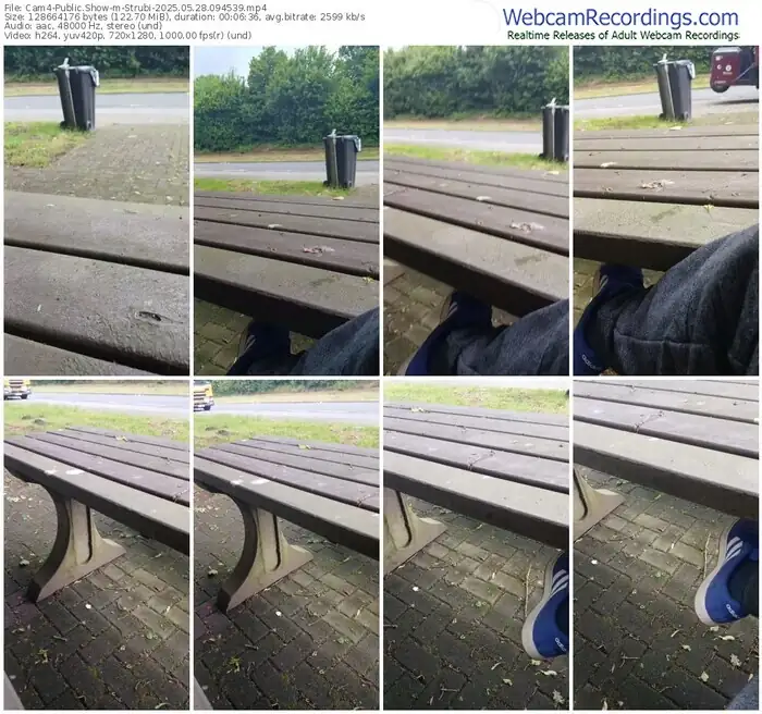 2025/05/28/cam4-strubi-09-45-39