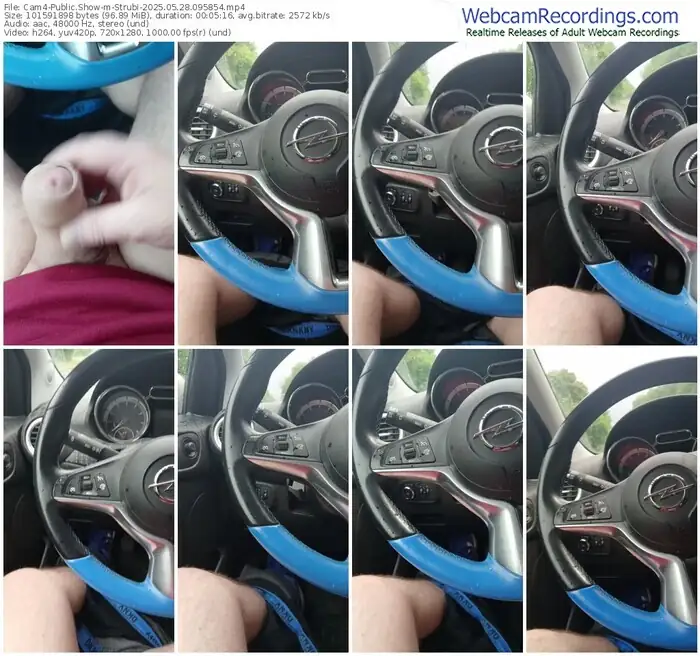 2025/05/28/cam4-strubi-09-58-54