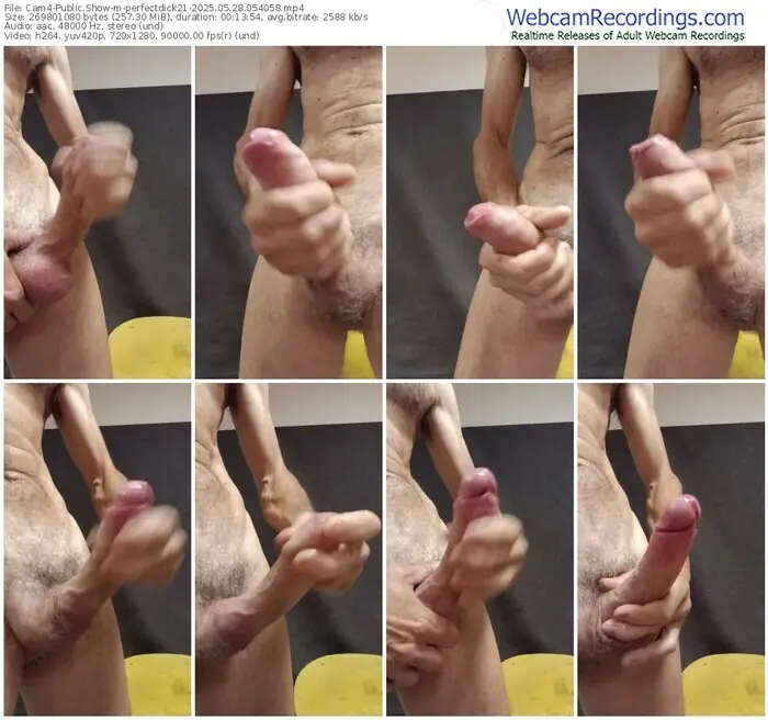 2025/05/28/cam4-perfectdick21-05-40-58