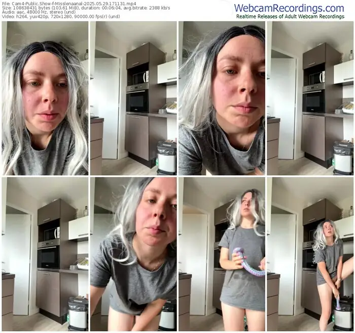 2025/05/29/cam4-misslenaanal-17-11-31