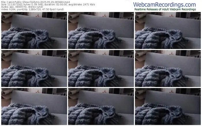 2025/05/29/cam4-billytis-06-58-40
