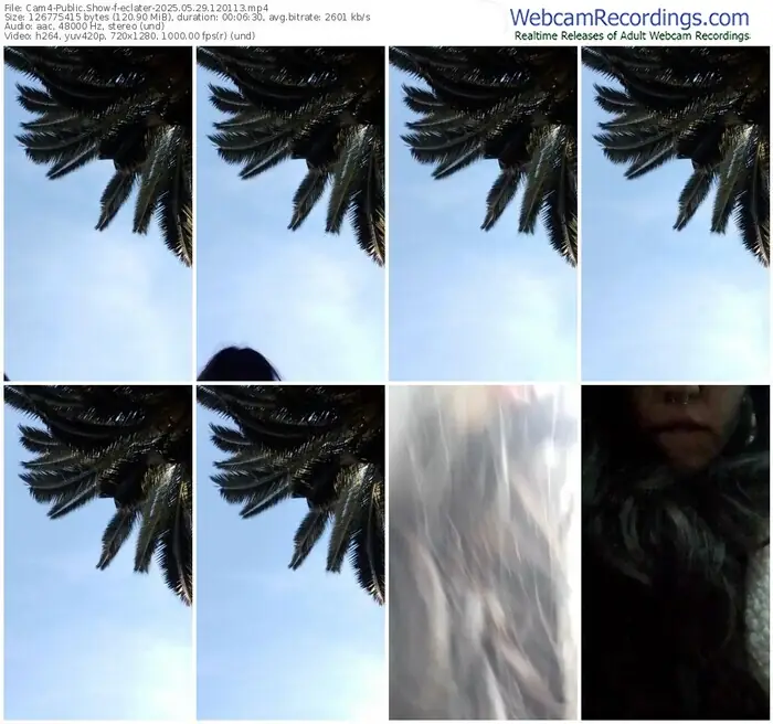 2025/05/29/cam4-eclater-12-01-13