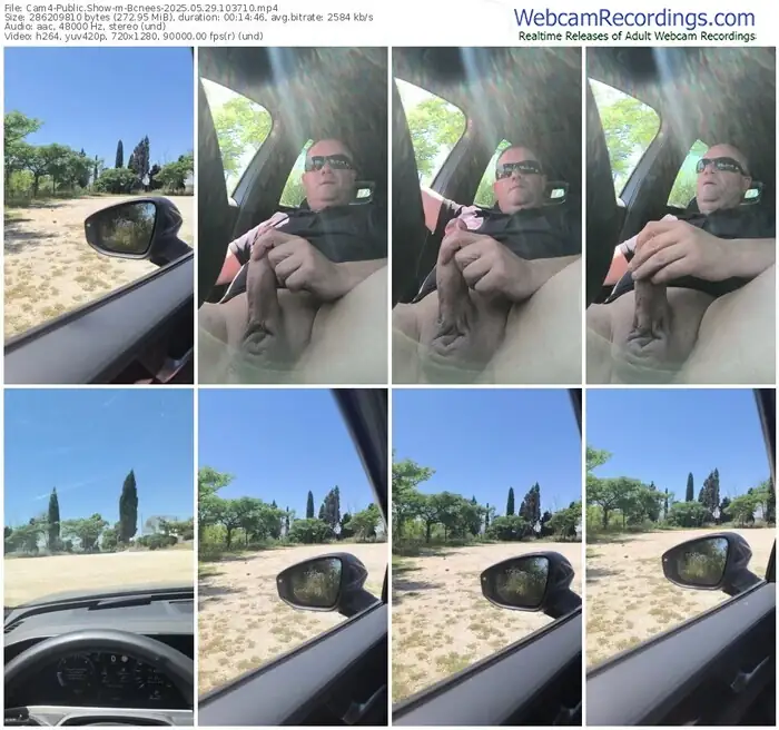 2025/05/29/cam4-bcnees-10-37-10