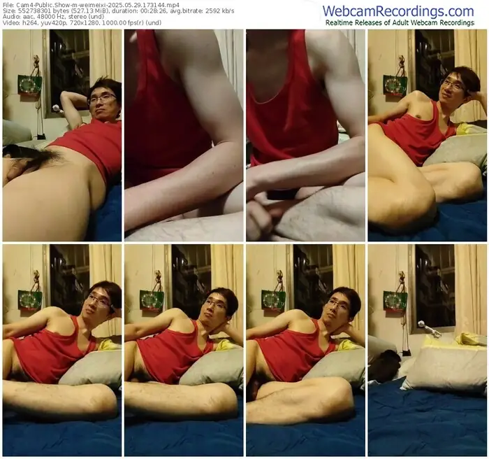 2025/05/29/cam4-weimeixi-17-31-44