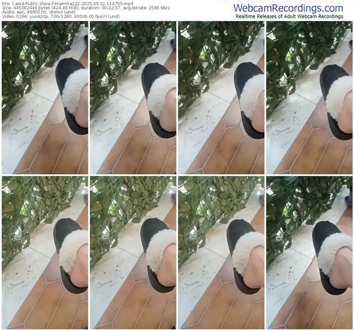 2025/05/31/cam4-mamma222-11-47-55