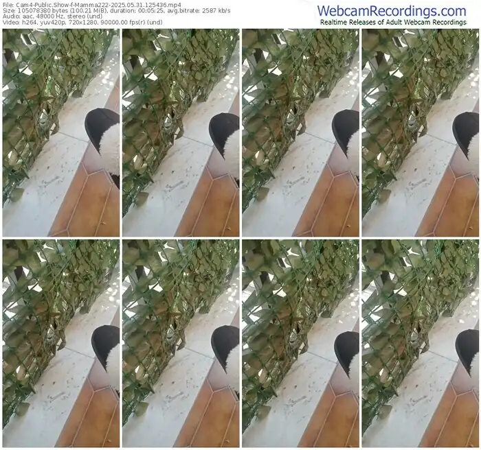 2025/05/31/cam4-mamma222-12-54-36