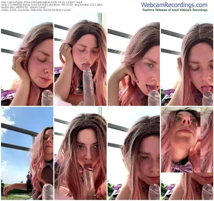 2025/05/31/cam4-misslenaanal-13-30-07