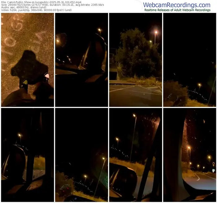 2025/05/31/cam4-lucapublic-00-14-52