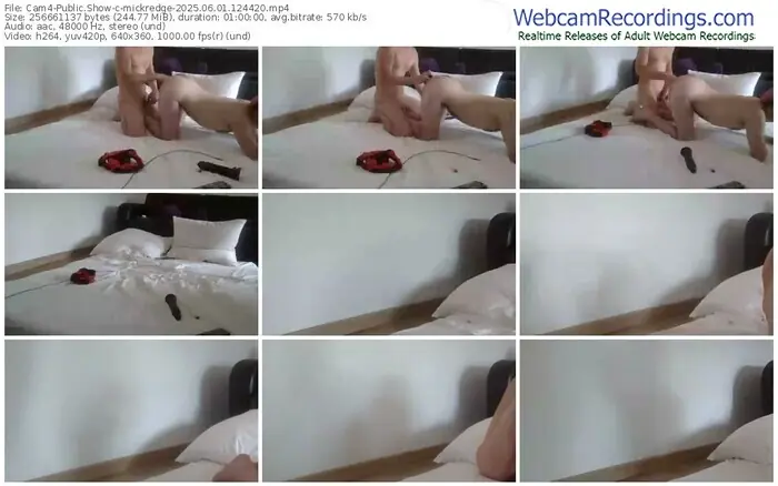 2025/06/01/cam4-mickredge-12-44-20