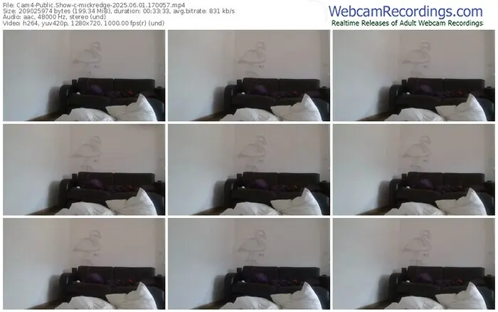 2025/06/01/cam4-mickredge-17-00-57