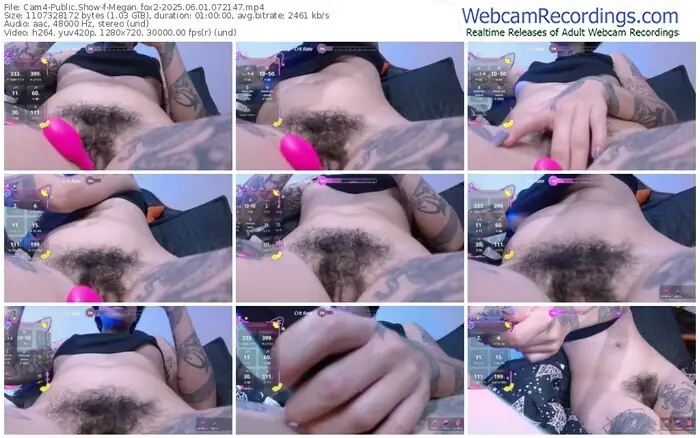 2025/06/01/cam4-megan_fox2-07-21-47