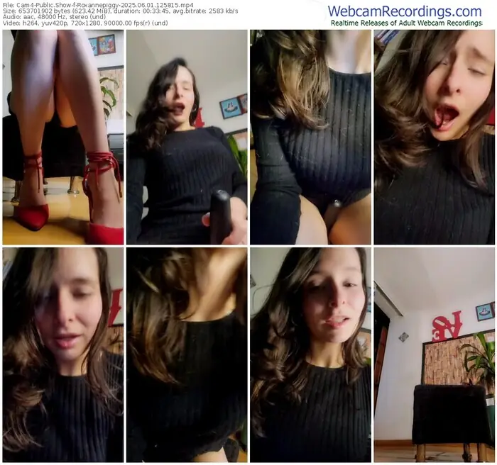 2025/06/01/cam4-roxannepiggy-12-58-15