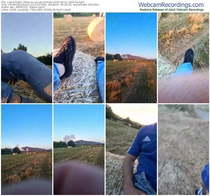 2025/06/01/cam4-uncutcockitaly-18-01-02