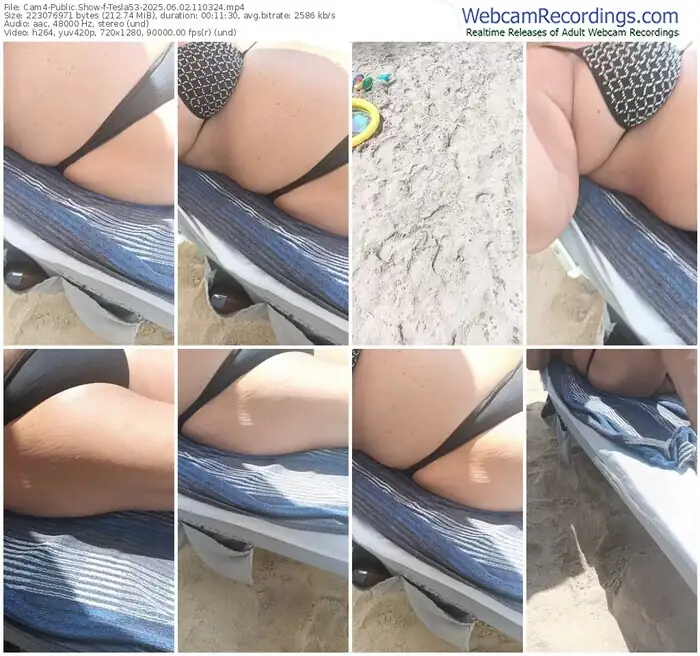 2025/06/02/cam4-tesla53-11-03-24