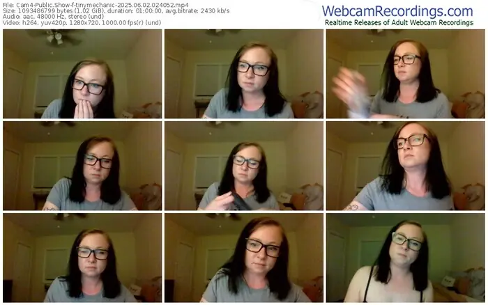 2025/06/02/cam4-tinymechanic-02-40-52