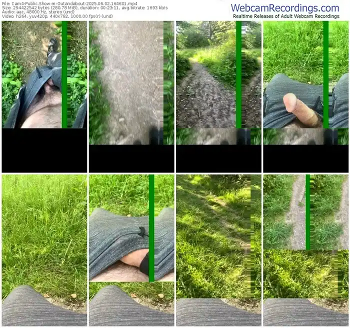 2025/06/02/cam4-outandabout-16-46-01