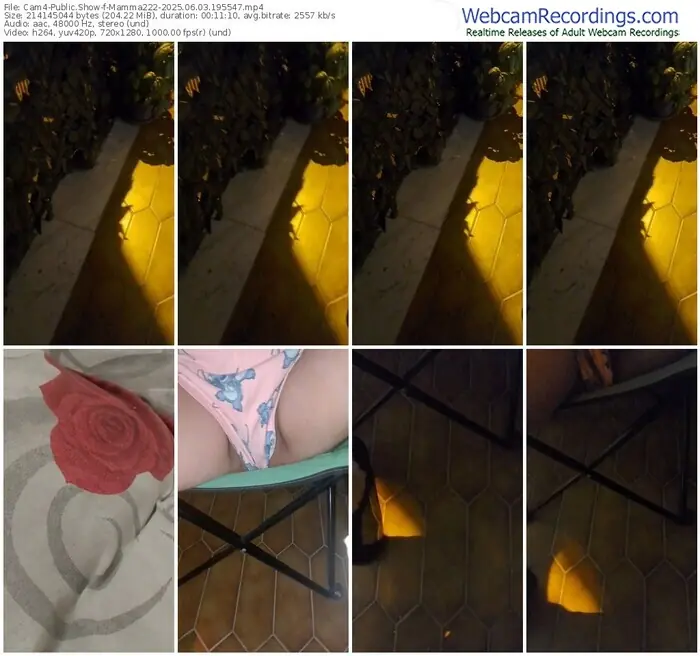 2025/06/03/cam4-mamma222-19-55-47