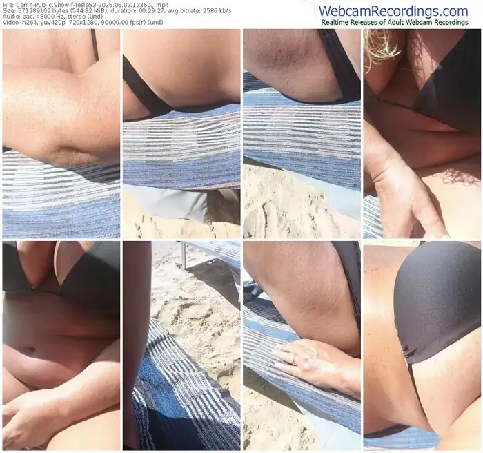 2025/06/03/cam4-tesla53-13-36-01