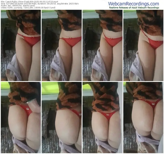2025/06/03/cam4-lady309-11-47-23