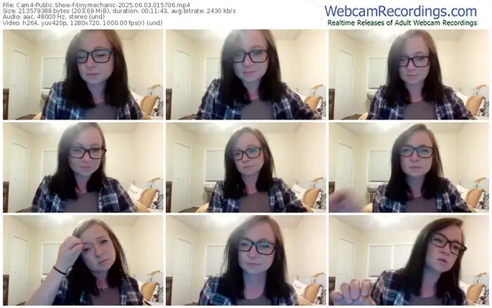 2025/06/03/cam4-tinymechanic-01-57-06