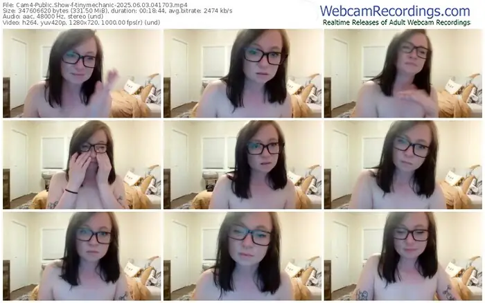 2025/06/03/cam4-tinymechanic-04-17-03