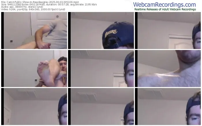 2025/06/03/cam4-rawdawgrex-00-51-06