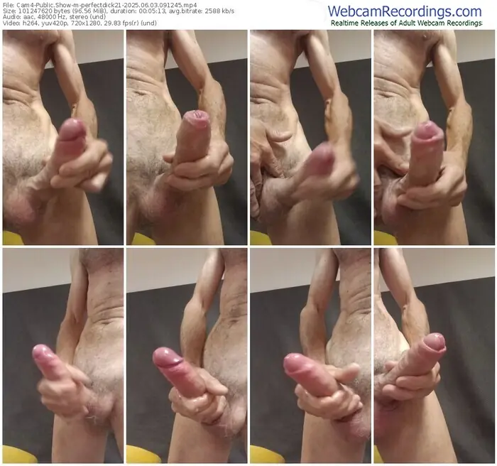 2025/06/03/cam4-perfectdick21-09-12-45