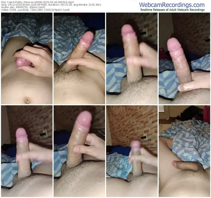 2025/06/04/cam4-hmsb-09-55-16