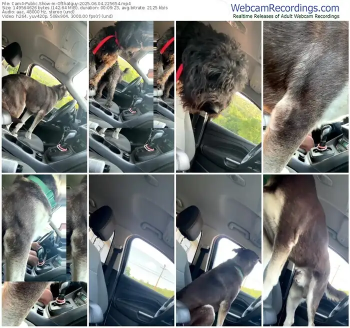 2025/06/04/cam4-ofthatguy-22-56-54