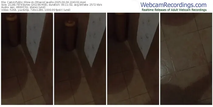 2025/06/04/cam4-ottaviocavallo-10-41-02