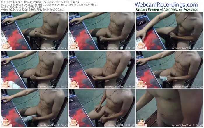 2025/06/05/cam4-panda_boy1-05-01-31