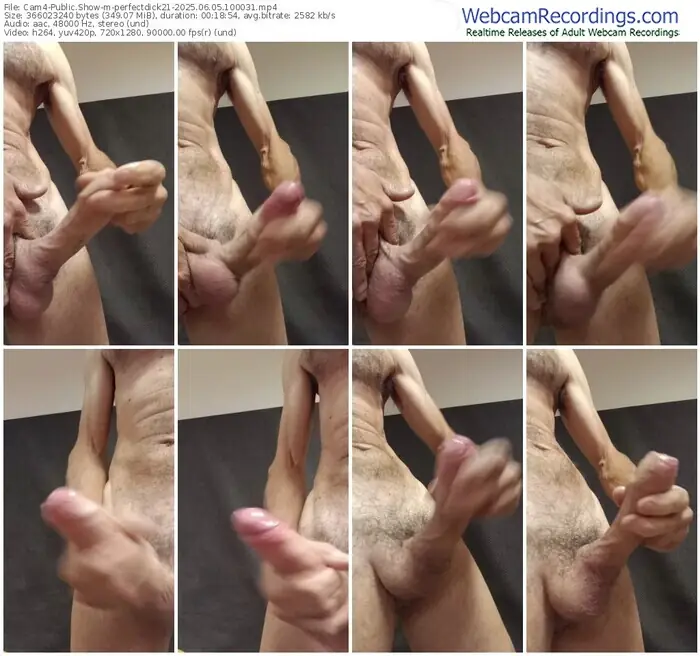 2025/06/05/cam4-perfectdick21-10-00-31