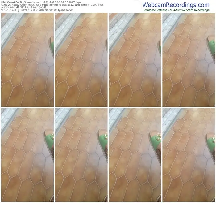 2025/06/07/cam4-mamma222-10-50-47