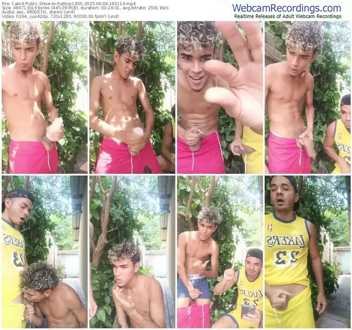 2025/06/08/cam4-hotboy1955-16-01-19
