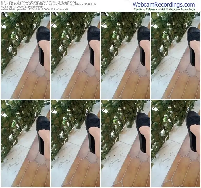 2025/06/09/cam4-mamma222-10-24-39