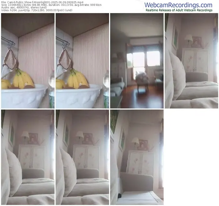 2025/06/09/cam4-moonlight01-09-39-25