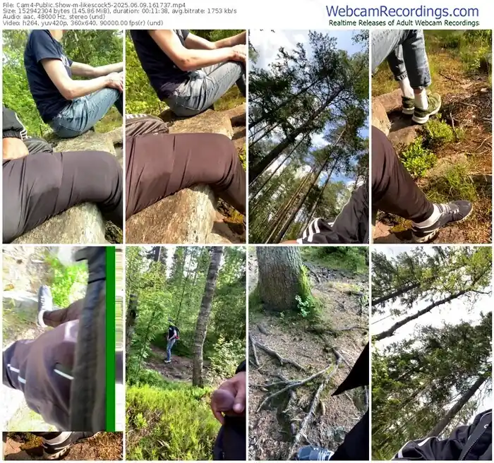 2025/06/09/cam4-likescock5-16-17-37