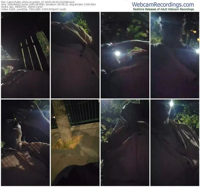 2025/06/09/cam4-pollen_07-22-20-48