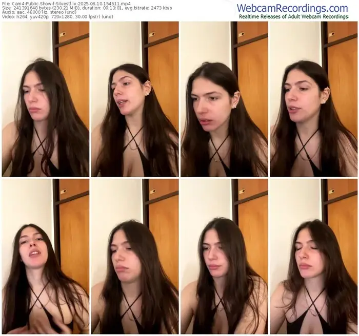 2025/06/10/cam4-silvestflix-15-45-11