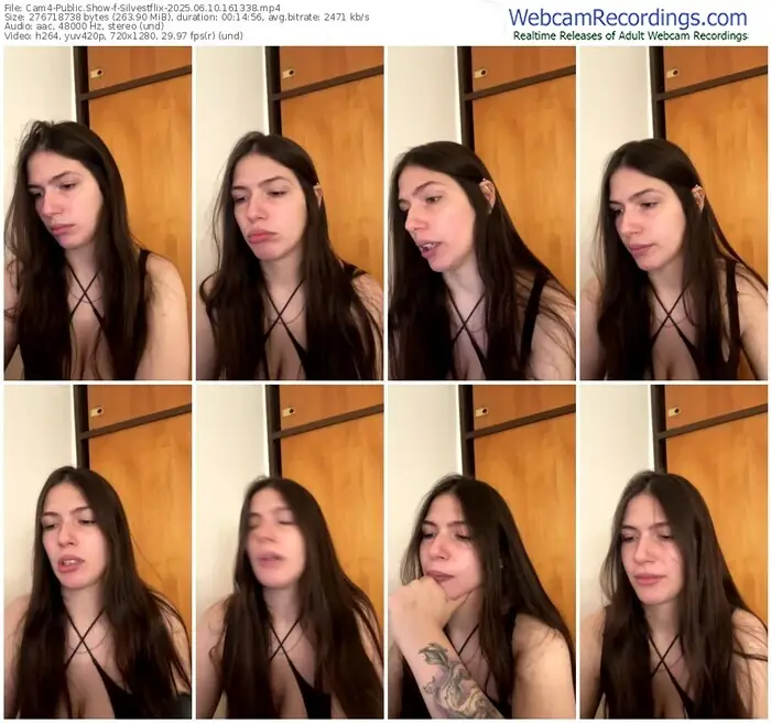 2025/06/10/cam4-silvestflix-16-13-38