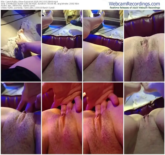 2025/06/10/cam4-pissriot-01-39-44