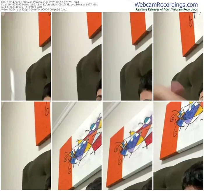 2025/06/10/cam4-pernaalonga-02-07-51