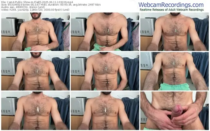 2025/06/11/cam4-fla85-10-32-29