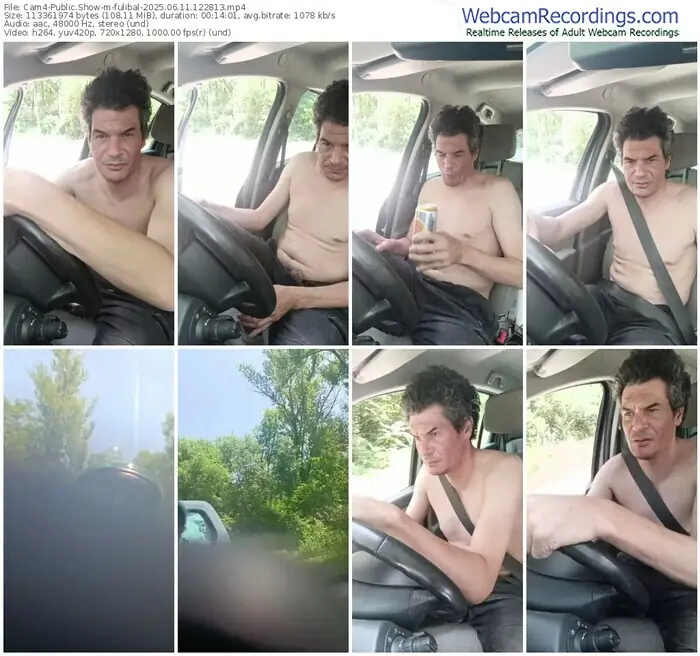 2025/06/11/cam4-fulibal-12-28-13